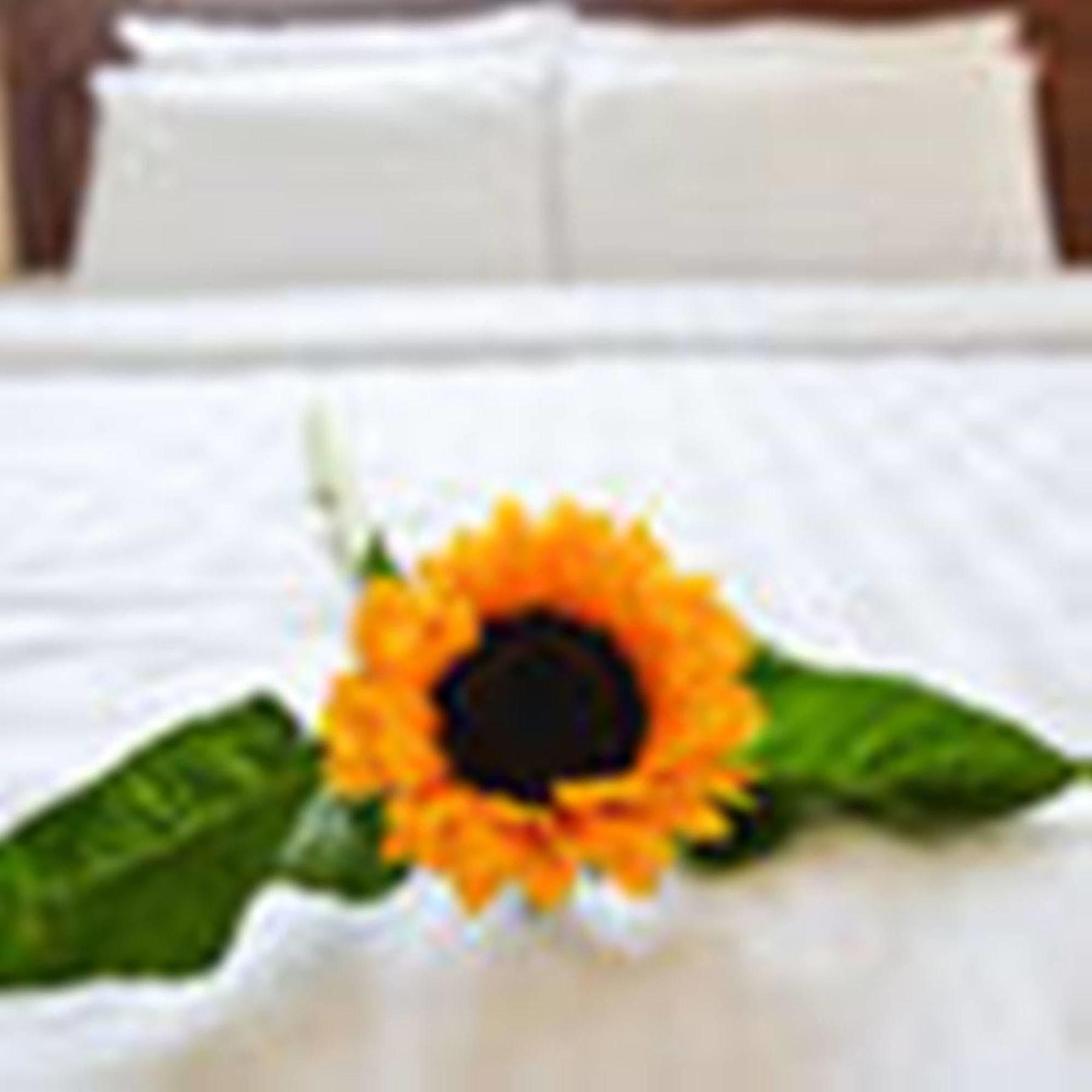 Fulmar Hotel Đà Nẵng Extérieur photo